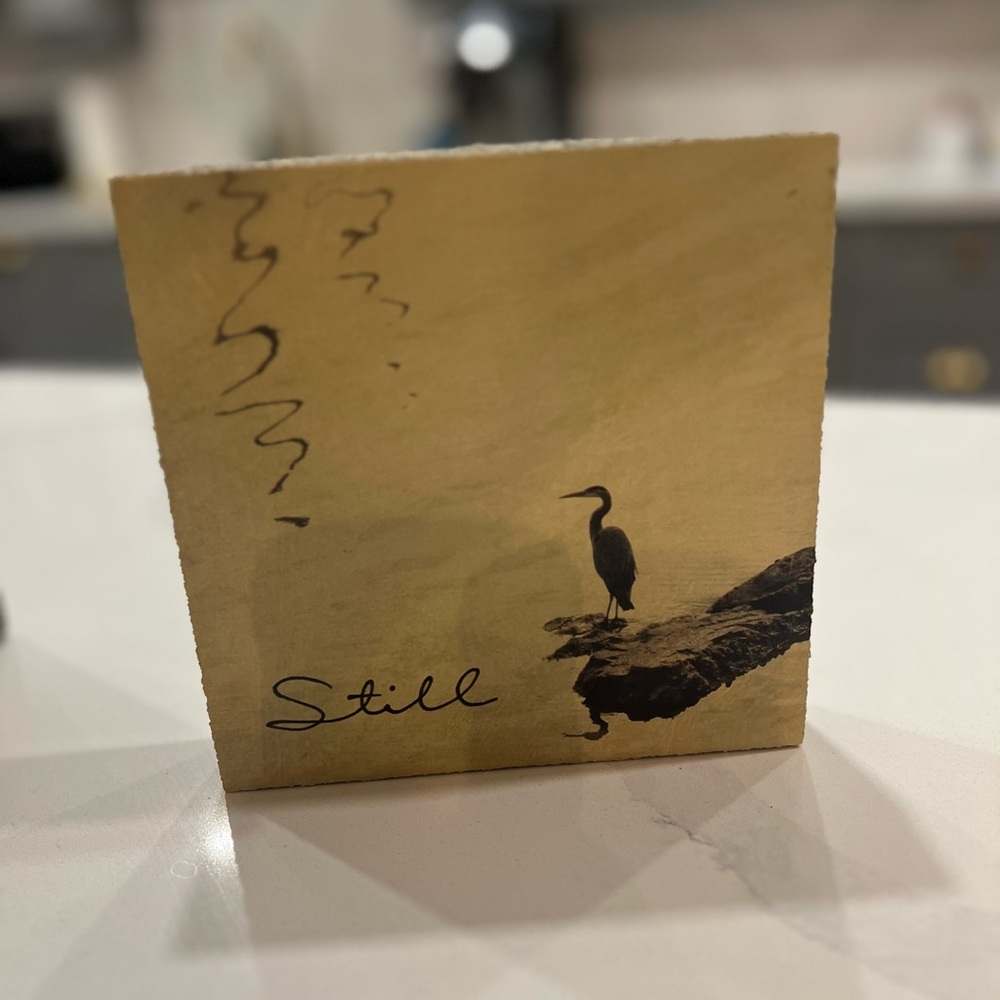 Still Bird Art Print